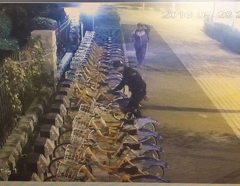 yl6809永利(集团)有限公司官网