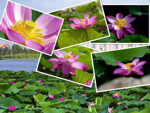 yl6809永利(集团)有限公司官网