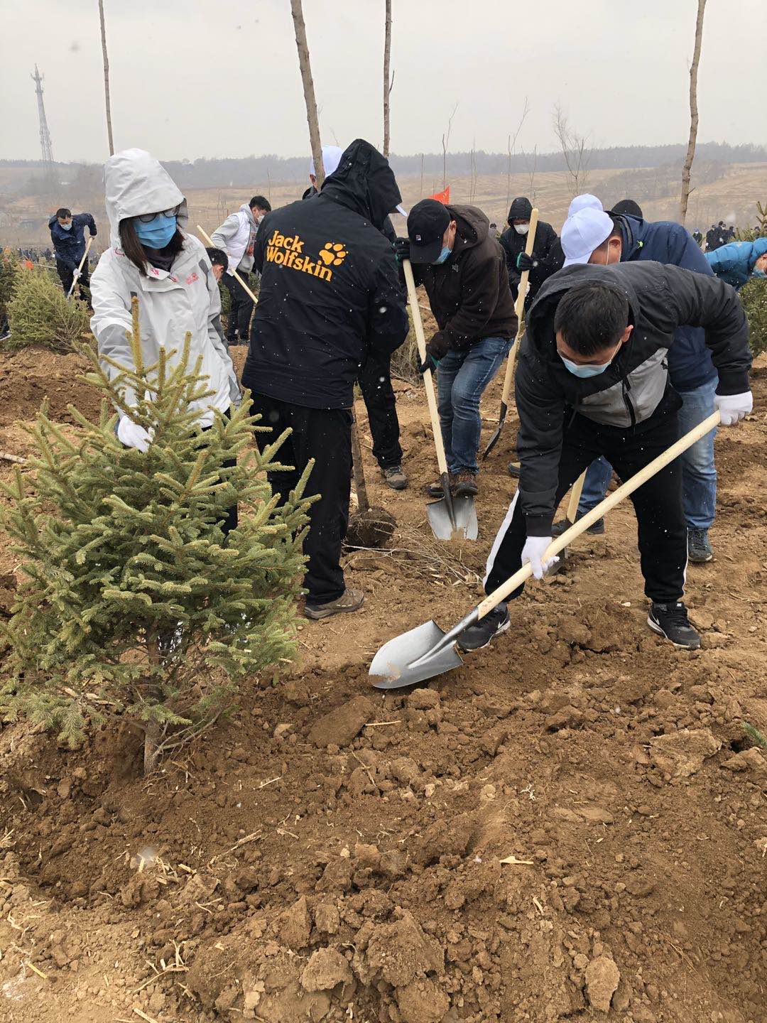 yl6809永利(集团)有限公司官网