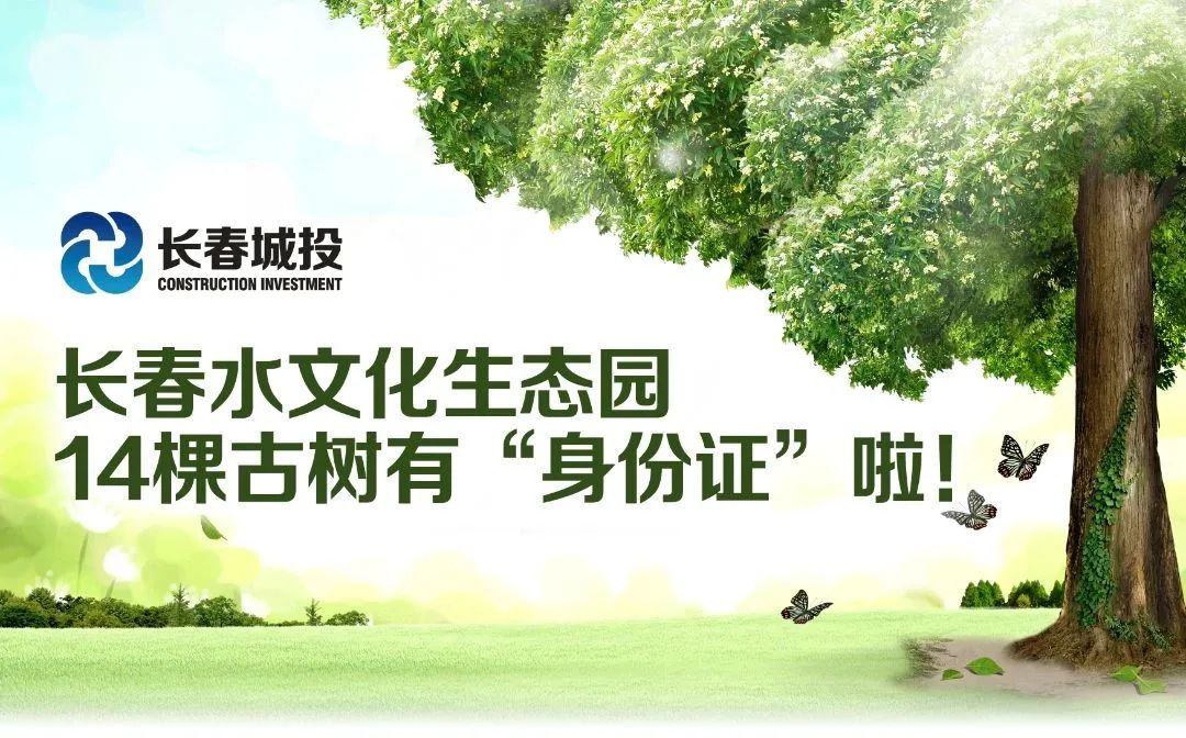 yl6809永利(集团)有限公司官网