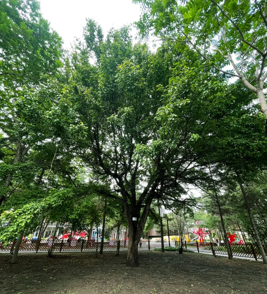 yl6809永利(集团)有限公司官网