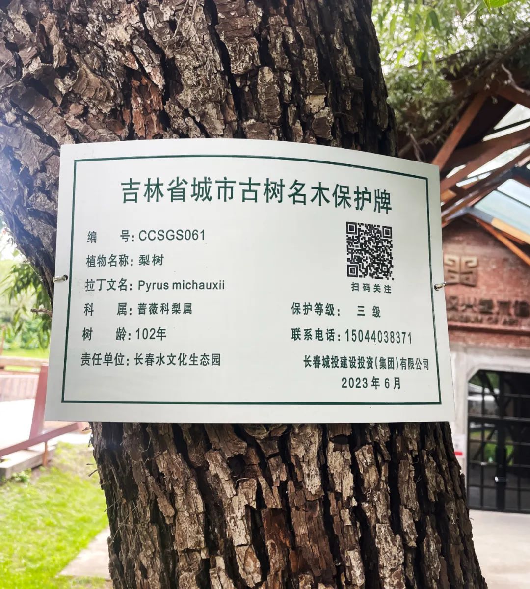 yl6809永利(集团)有限公司官网